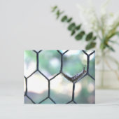 Carte Postale Crazy Caterpillar (Debout devant)