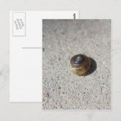 Carte Postale Crazy Snail (Devant / Derrière)