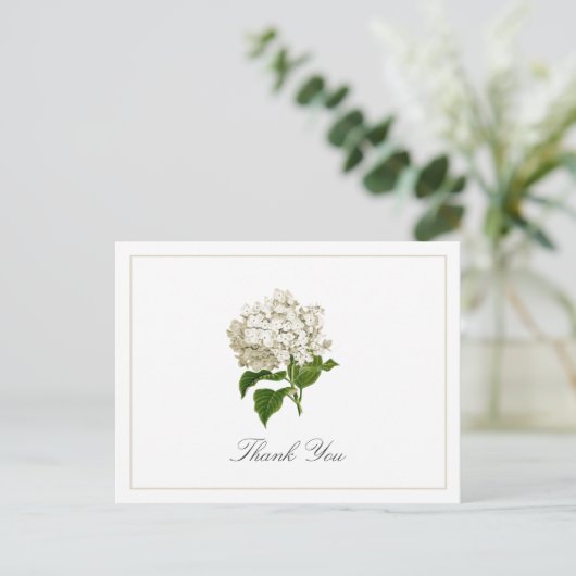 Carte Postale Cream White Hydrangea Bloom Traditional Thank You (Debout devant)