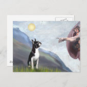 Carte Postale Création du Boston Terrier (#3) (Devant / Derrière)
