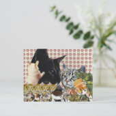 Carte postale Creative Cats (Debout devant)