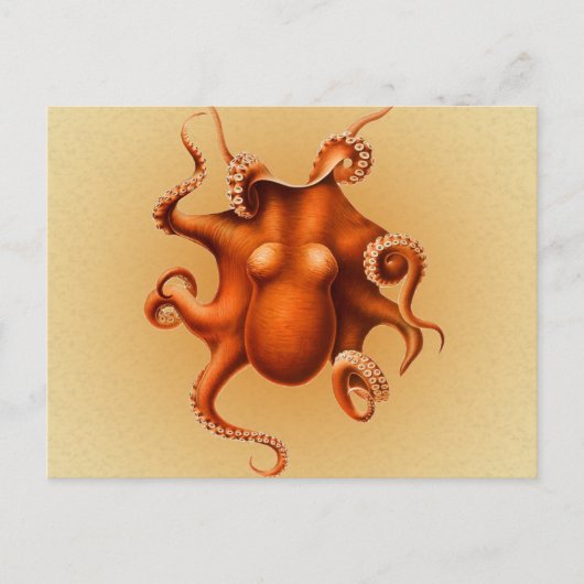 Carte Postale Créature du monstre de la mer d'Octopus Cephalapod (Devant)