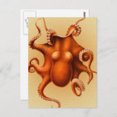 Carte Postale Créature du monstre de la mer d'Octopus Cephalapod (Devant / Derrière)