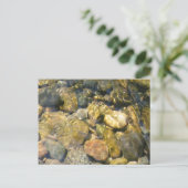 Carte postale Creek Bed (Debout devant)