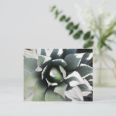 Carte Postale Creel, Copper Canyon, Mexique (Debout devant)