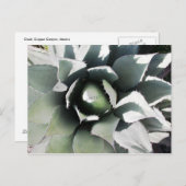 Carte Postale Creel, Copper Canyon, Mexique (Devant / Derrière)