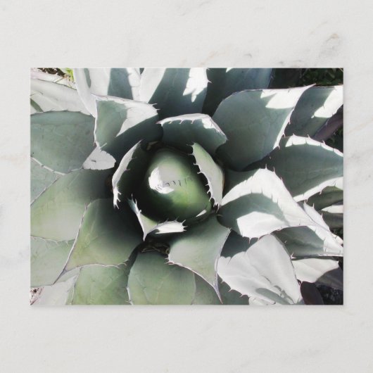 Carte Postale Creel, Copper Canyon, Mexique (Devant)