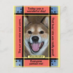 Carte Postale Créer votre propre animal de compagnie Chien Chat