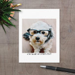 Carte Postale Créer votre propre Galerie de photos simple bordur<br><div class="desc">Ajoutez votre selfie ou portrait favori d'un ami. Utilisez une photo carré pour créer un cadeau unique et personnel ou garder le chiot hipster et faire un souvenir tendance. Si vous avez besoin d'ajuster les images,  cliquez sur l'outil personnaliser pour apporter des modifications.</div>