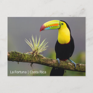 Carte Postale Créer votre propre photo Costa Rica
