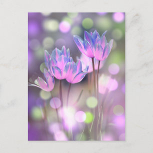 Carte Postale Créez Vos Propres Fleurs De Printemps De Bokeh Per