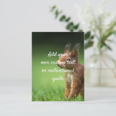 Carte Postale Créez votre propre devis personnalisé - Écureuil (Debout devant)