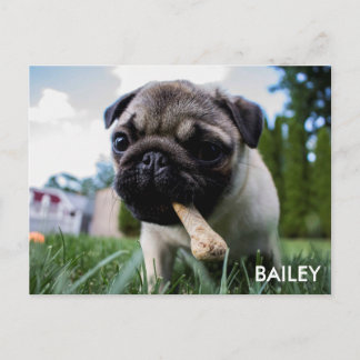 Carte Postale Créez votre propre photo personnalisée