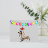 Carte Postale Crème anglaise Dachshund de Noël (Debout devant)