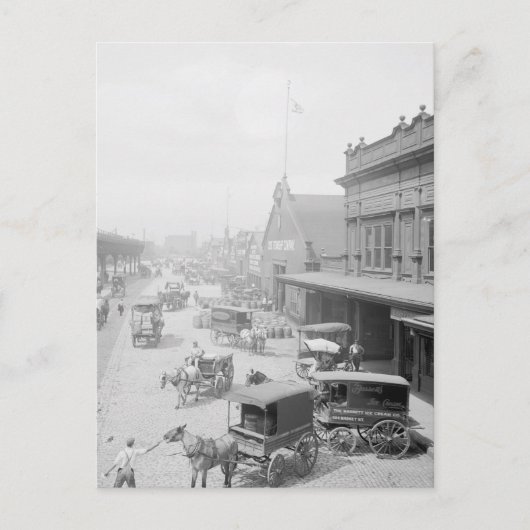 Carte Postale Crème de glace Bassett (Devant)