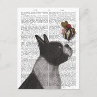Crème glacée Boston Terrier