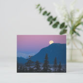 Carte Postale Crépuscule en Alaska (Debout devant)