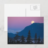 Carte Postale Crépuscule en Alaska (Devant / Derrière)