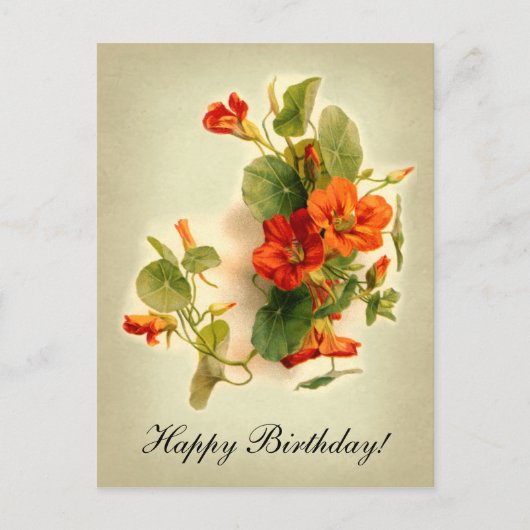 Carte Postale Cress indien orange (Devant)