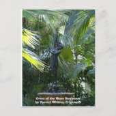 Carte Postale Crest of the Wave Sculpture (Devant)