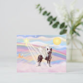 Carte Postale Crested Chinois (Debout devant)