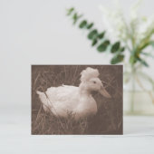 Carte Postale Crestie the Crested Duck (Debout devant)