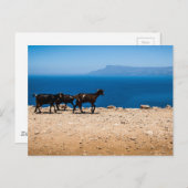 Carte Postale Crète 8 (Devant / Derrière)