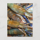 Carte Postale crevette (Devant)