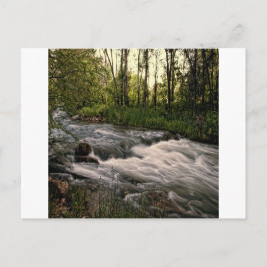 Carte Postale crevette de poisson-haricot SD (Devant)