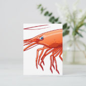 Carte Postale crevettes (Debout devant)