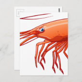 Carte Postale crevettes (Devant / Derrière)