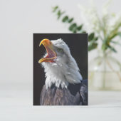 Carte postale criarde (Debout devant)