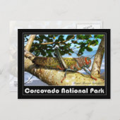 Carte Postale Cricket Brown géant, Parc national du Corcovado (Devant / Derrière)
