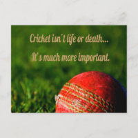 Cricket Red Ball drôle Motivation