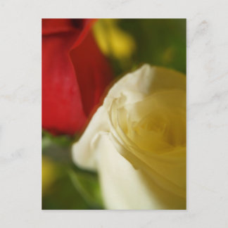 Carte postale "Crimson and Cream"