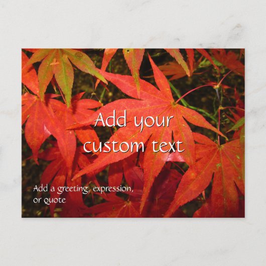 Carte Postale Crimson Maple Feuilles - Personnalisé (Devant)