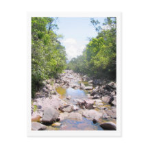 Crique au Venezuela paysage de la jungle