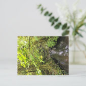 Carte Postale Crique de Corral (Debout devant)