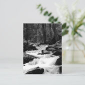 Carte Postale Crique de course d'étang (Debout devant)