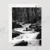 Carte Postale Crique de course d'étang (Devant / Derrière)