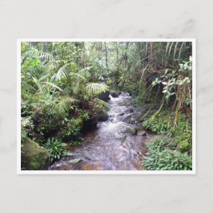 Carte Postale crique de kinabalu