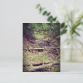 Carte Postale Crique de la péninsule Upper (Debout devant)