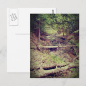 Carte Postale Crique de la péninsule Upper (Devant / Derrière)