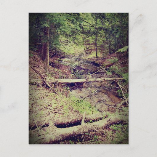 Carte Postale Crique de la péninsule Upper (Devant)