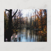 Carte Postale Crique de Putts (Devant)