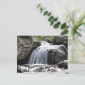 Carte Postale Crique Squaw (Debout devant)