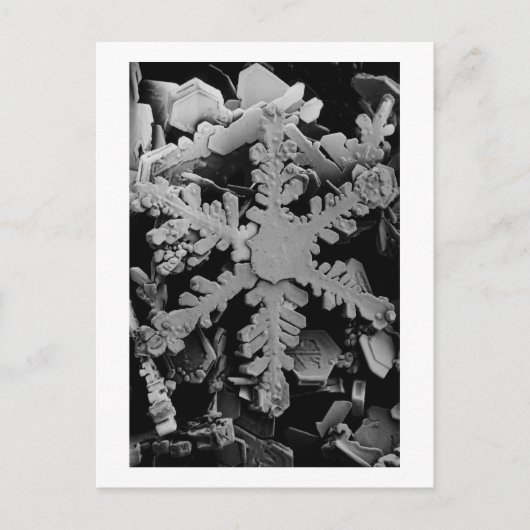 Carte Postale Cristal à neige (Devant)