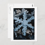 Carte Postale Cristal de neige 2 (Devant / Derrière)