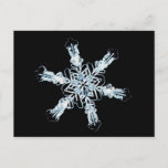 Carte Postale cristal de neige stellaire<br><div class="desc">ImageID : 42-23594379 / Richard Walters / Visuals Unlimited/Corbis / Stellar snow cristal</div>