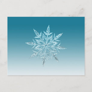 Carte Postale Cristal de snowflake